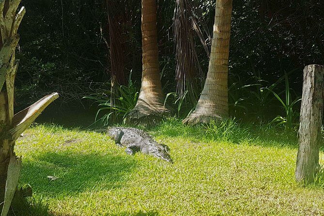 4 in 1 Tour - Mazunte, Cacao Factory, La Ventanilla National Park & Turtle Spawn - Final Thoughts: Is It Worth It?