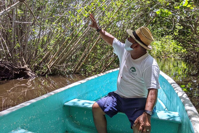 4-in-1 Tour - Mazunte,Cacao Factory, La Ventanilla & Turtle Spawn - The Sum Up