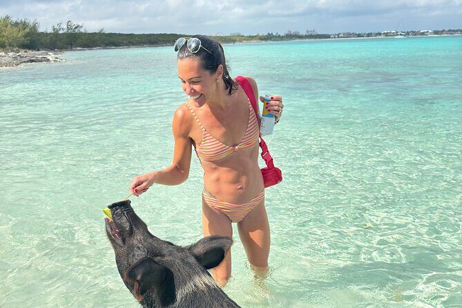 4-Island Tour Swimming Pigs, turtles, snorkeling , rose island, - FAQ