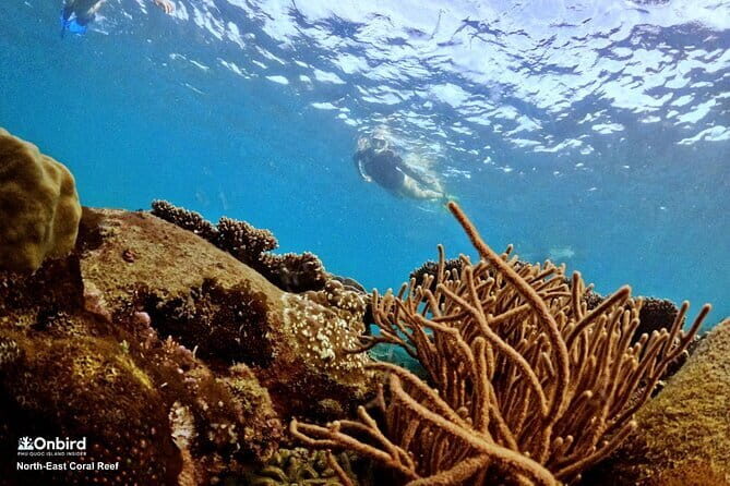 4 Islands & 2 Reefs - Discovery Snorkeling & Relaxing (MAX 12) - Transport and Price: Is It Good Value?