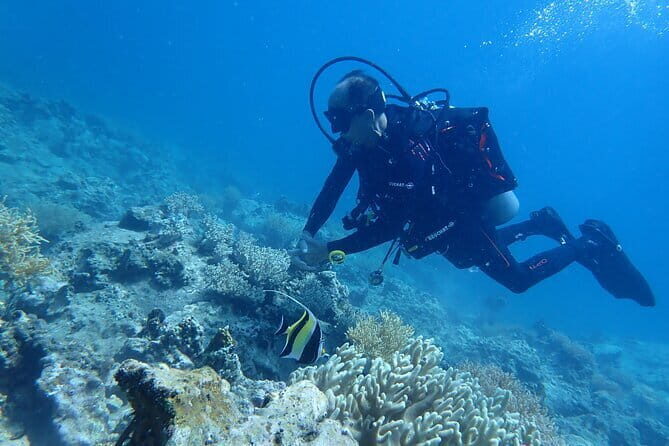 4 Islands & 2 Reefs - Discovery Snorkeling & Relaxing (MAX 12) - Who Should Consider This Tour?