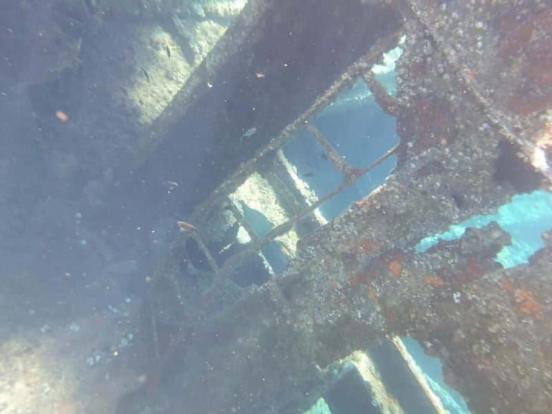 4 Jewels of Zadar, Dugi otok, sunken ship - Half day - How Much Value Does This Tour Offer?