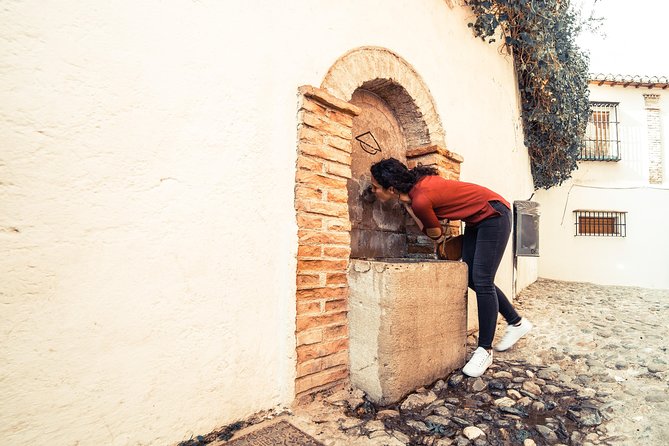 4 Neighborhoods 4 Cultures. Half Day Private Tour in Granada - Tour Price and Group Size