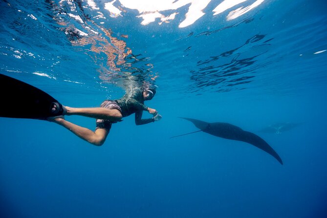 4-Night Fiji: South Sea, Manta Ray, Kuata From Port Denarau  - Nadi - Overview