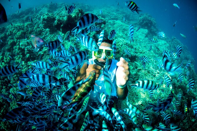 4-Night Fiji: South Sea, Manta Ray, Kuata From Port Denarau  - Nadi - Activities and Highlights
