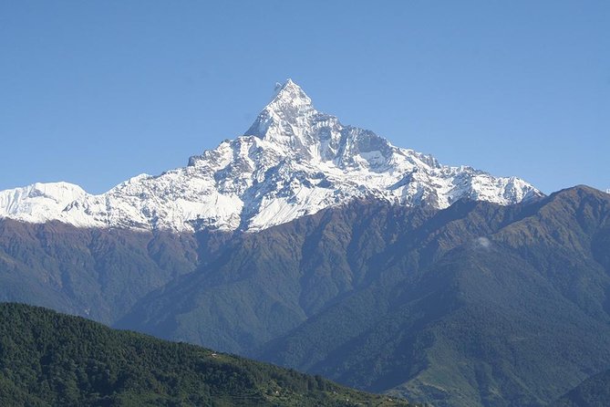 4-Night Nature Tour From Kathmandu - Accommodation Options