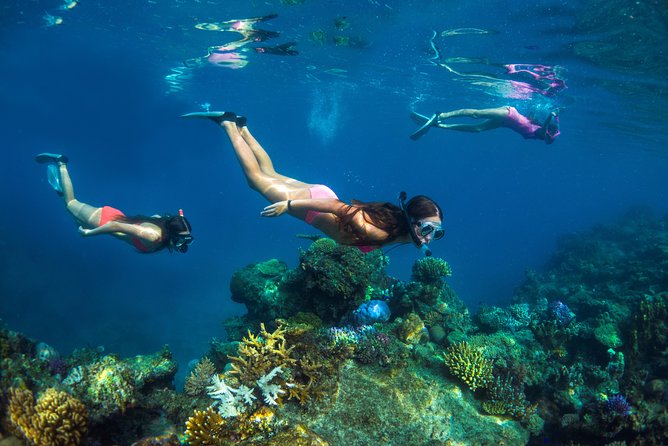 4-Night Yasawa Islands Fiji Cruise Including Accommodation and Meals - On-Board Facilities
