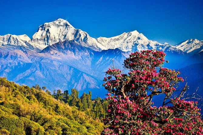 4 Nights 5 Days Kathmandu And Pokhara Tours - Exploring Pokhara