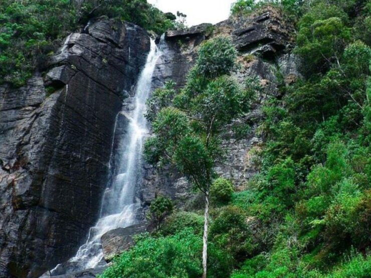 4 Nights 5 Days-Muslim Halal Tour With Nuwara Eliya - Booking and Reservation Details