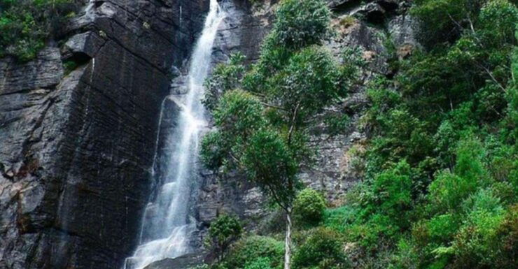 4 Nights 5 Days-Muslim Halal Tour With Nuwara Eliya - Tour Experience and Itinerary Highlights