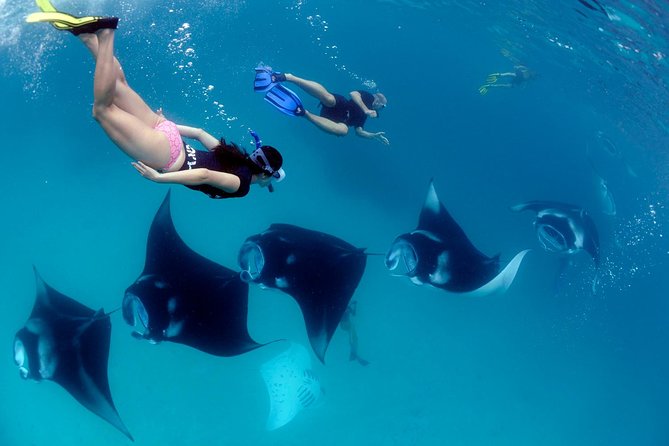 4 Point Snorkeling Safari and West Penida Tour (Inclusive) - Tour Itinerary