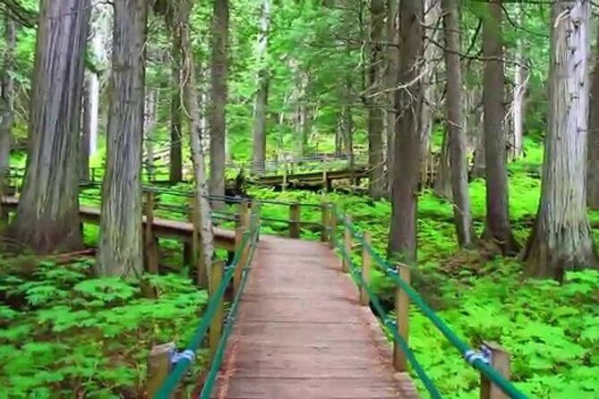 4 Smartphone Audio Driving Tours between Calgary & Vancouver - Practical Tips for a Smooth Experience