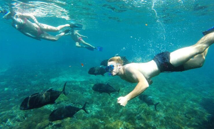 4 Spot Snorkeling and Nusa Penida Tour Land - Good To Know