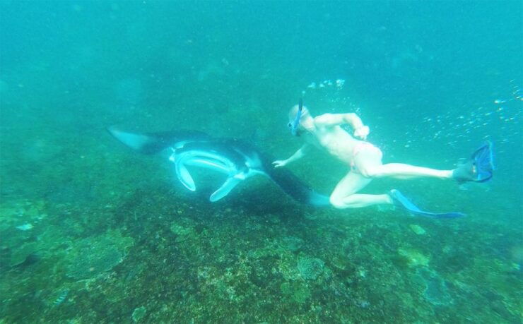 4 Spot Snorkeling and Nusa Penida Tour Land - Booking Details