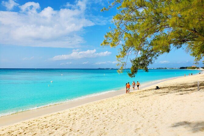 4 Stops Tour: Stingray, Snorkeling, Starfish & 7 Mile Beach - Authentic Insights from Reviews