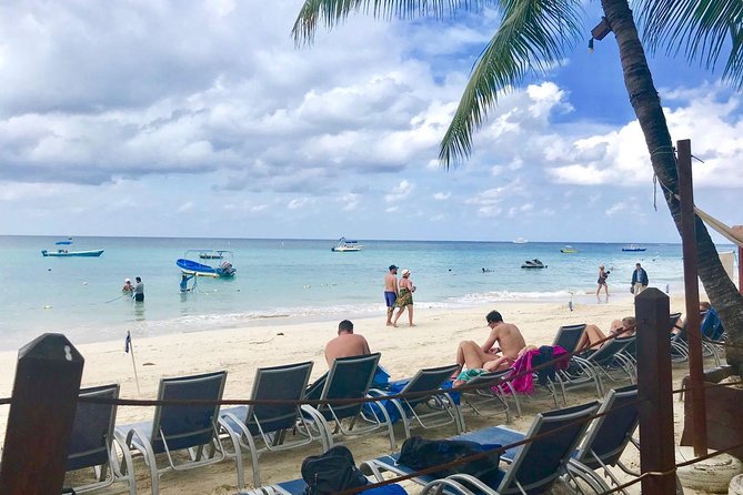 4-to-5 Hour Cruise Ship Tour, Monkeys/Sloths & West Bay Resort - Logistics and Meeting Locations