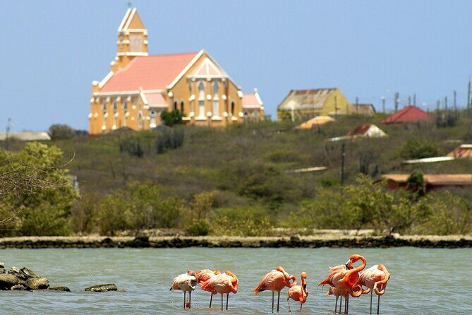 4 to 5 Hour Private SUV Trip - Transportation & Comfort: What Does It Feel Like?