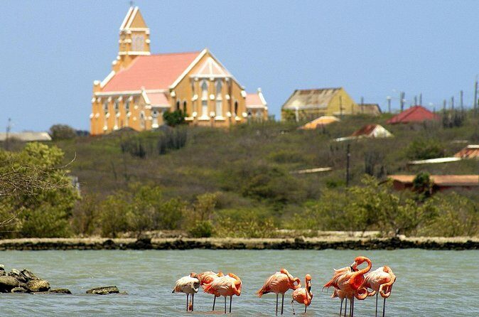 4 to 5 Hour Private SUV Trip - Who Is This Tour Best For?