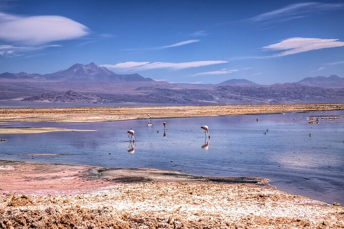 4 Tours to Discover Atacama (3 Days) - Tour 3: Altiplanic Lagoons and Piedras Rojas