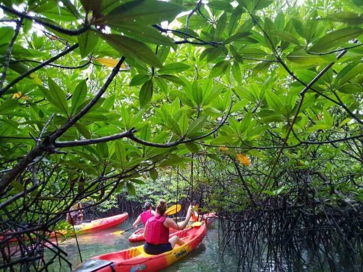 4 Waters Eco Adventure - Activity Details