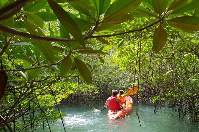 4-Waters Eco-Adventure Trip From Phuket Including Lunch - The Sum Up