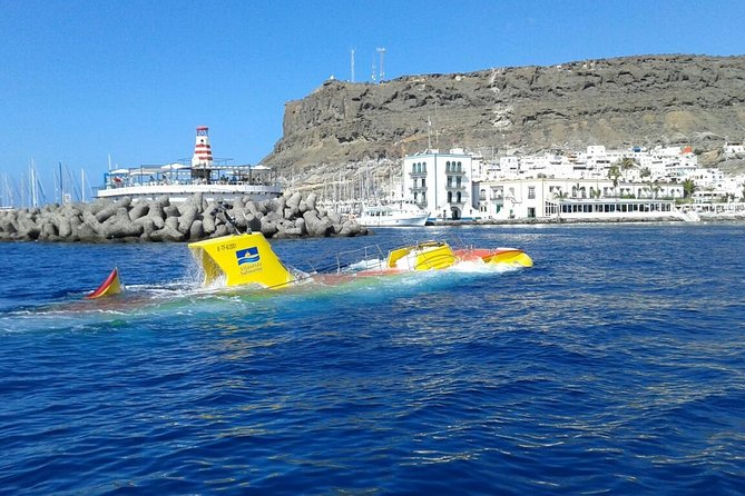 40-minute Submarine Tour in Mogán - Alternative Option: Whale Watching