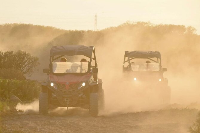 40% Off-Road Buggy Tour in Tenerife - 2 Hours - Points of Interest