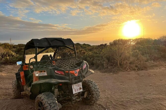 40% Off-Road Buggy Tour in Tenerife - 2 Hours - Contact Information