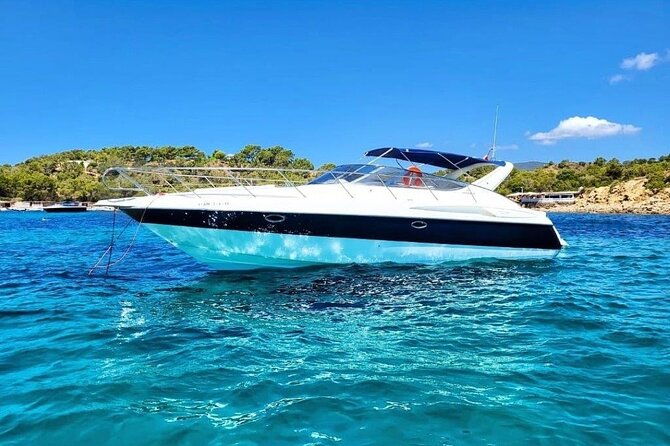 41 Luxury Boat with Captain 4 hours Palm Beach -Jupiter for 8 - Good To Know