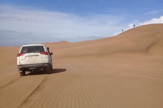 44 Wild Nature Private Half Day Trip - Overview and Details