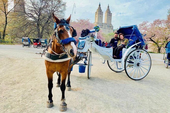 45 min Long VIP Central park carriage ride - Who Will Love This Tour?