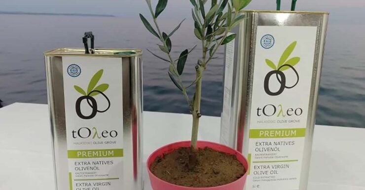 45 Min. Olive Oil Workshop in Kriopigi - Halkidiki. - Learning About Olive Oil