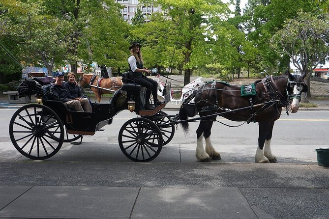 45-Minute By The Park Tour - Cancellation Policy for the Tour