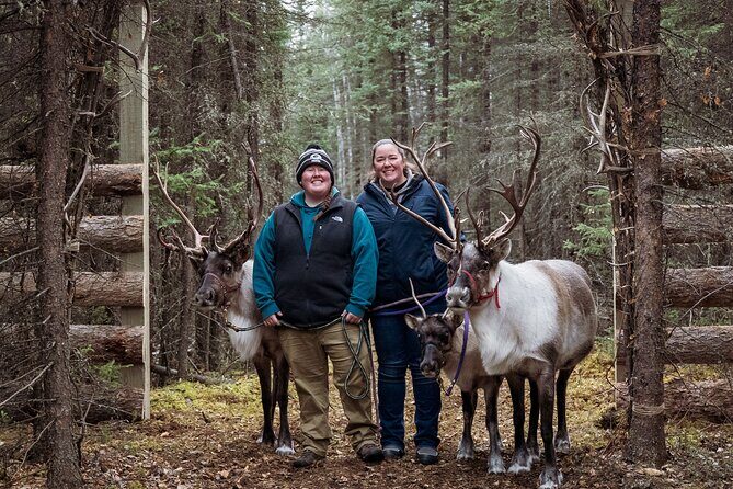 45 Minute Private Reindeer Tour - Who Should Consider This Tour?