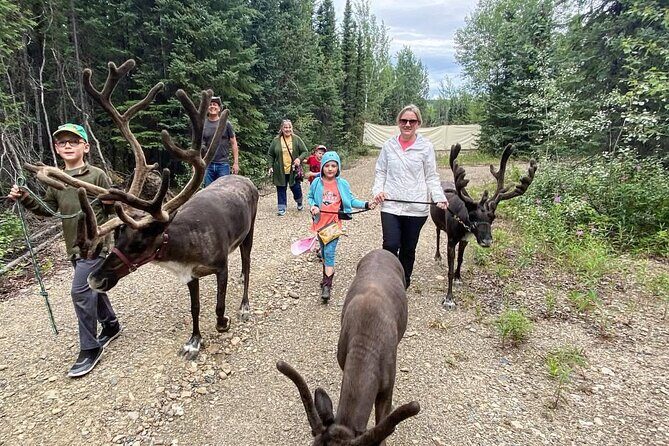 45 Minute Private Reindeer Tour - FAQs
