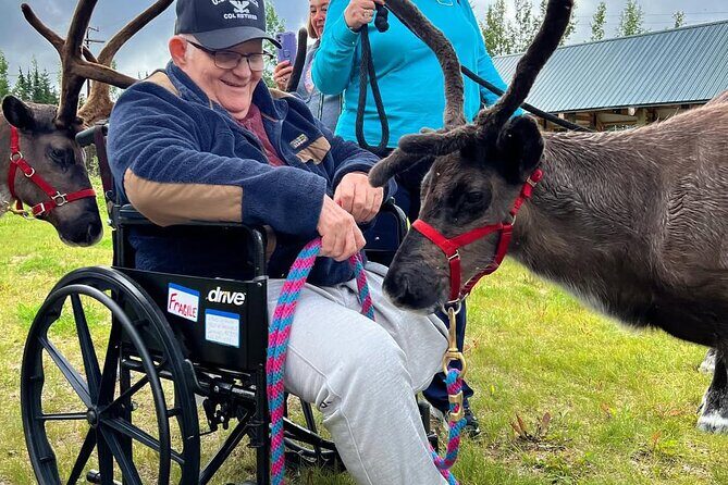 45 Minute Private Reindeer Tour - Final Thoughts