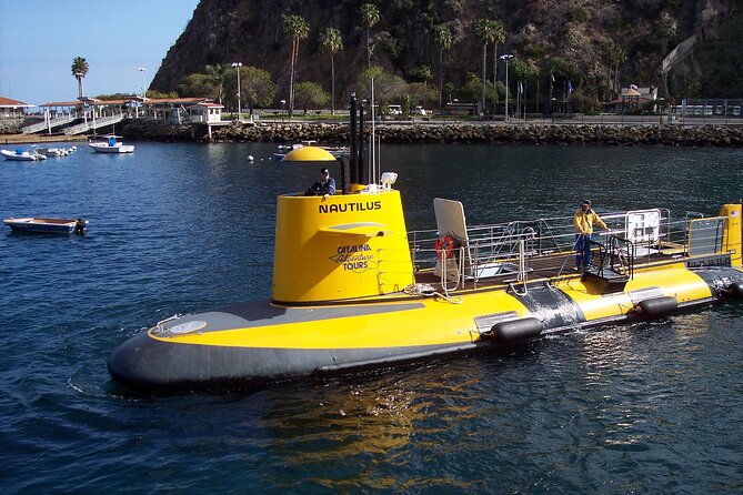 45 Minute Semi-Submarine Tour of Catalina Island From Avalon - Meeting and Pickup Details