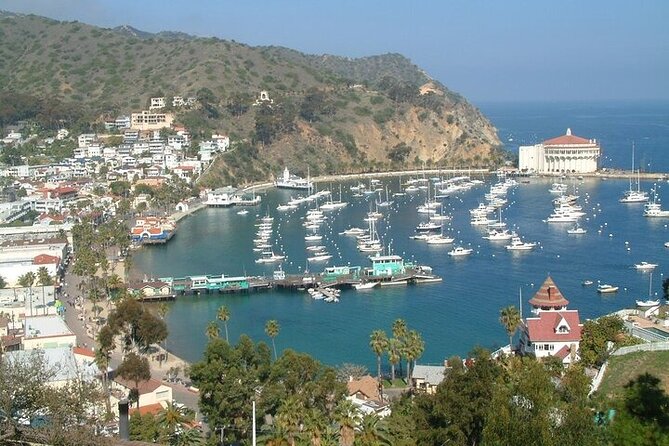45 Minute Semi-Submarine Tour of Catalina Island From Avalon - Positive Reviews and Recommendations
