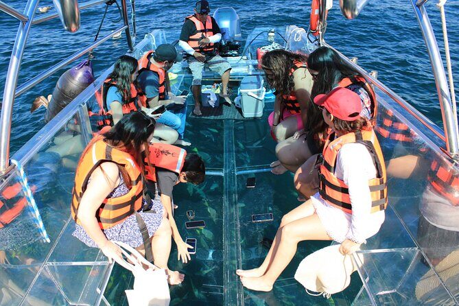 45 Minute Transparent Boat Ride to the Arch of Cabo San Lucas - FAQs