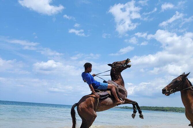 45 Minutes Horse Back Riding in Montego Bay - An In-Depth Look at the 45-Minute Horseback Riding Tour in Montego Bay