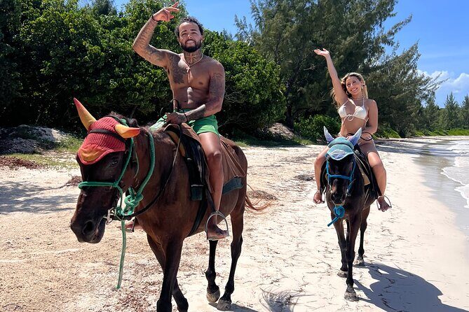 45 Minutes horseback riding at Sand and Saddle - Summary: The Real Value of Sand and Saddle’s Horseback Ride