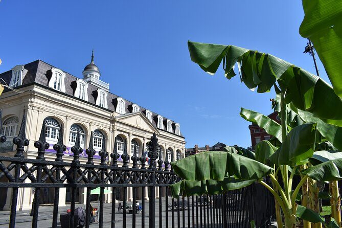 45 minutes in Jackson Square - Final Thoughts