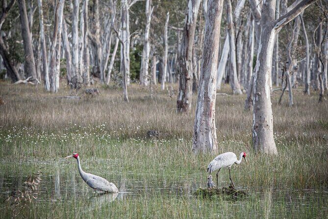 45 Minutes Private Tour at Warrawindi Farms - Exploring Warrawindi Farms: What You Can Expect