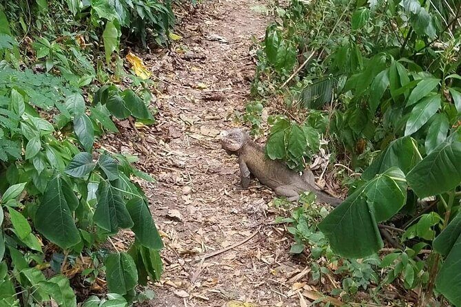 48h of Wild Adventure: Rando, Bivouac and Unforgettable Moments - FAQ  