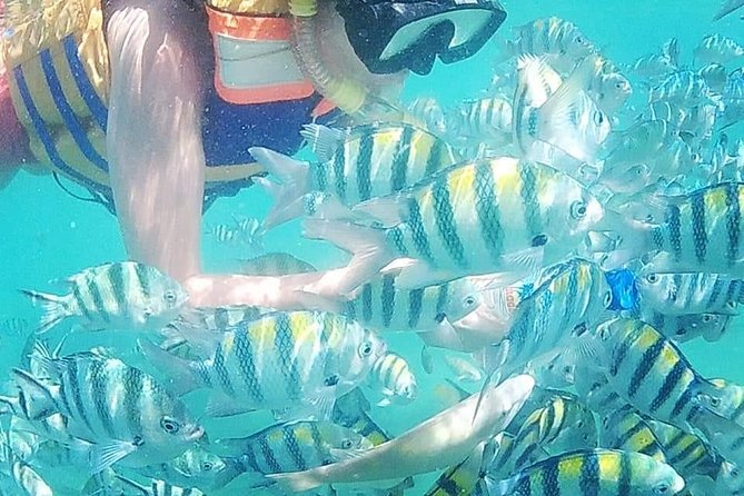 4D/3N (Hotel) Lombok Tour Package - Accommodation Details