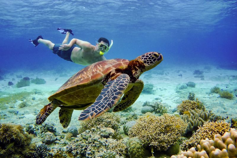 4D3N Cebu-Bohol Highlights Tour - Four days, several sides of the Visayas