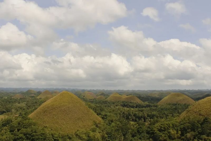 4D3N Cebu-Bohol Highlights Tour - Who should book this Cebu and Bohol route?