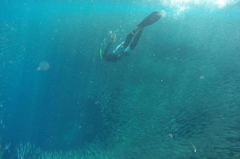 4D3N Cebu Highlights and Bantayan Island Tour - Bantayan Island in one long day