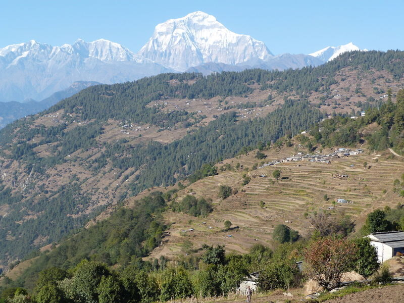 4D3N Ghorepani Poon Hill Trek - Four Days, Three Mountain Villages, One Sunrise