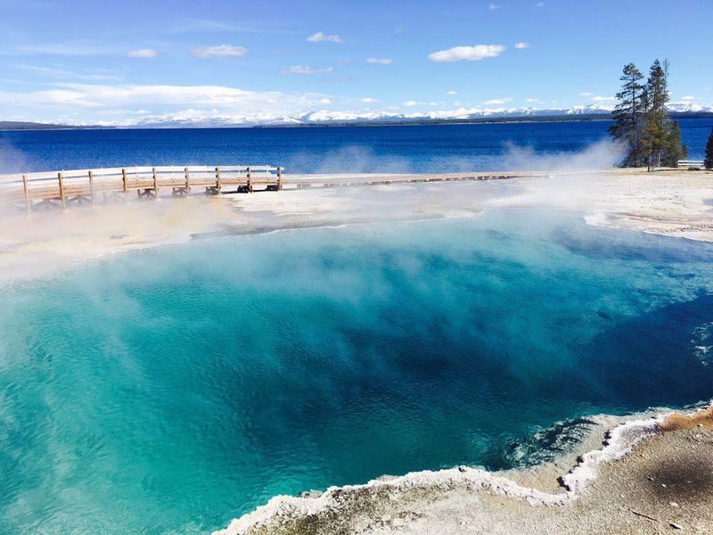 4D3N Grand Teton National Park+ Yellowstone National Park Tour - Day 3: Yellowstone’s geysers, canyon, and wildlife country
